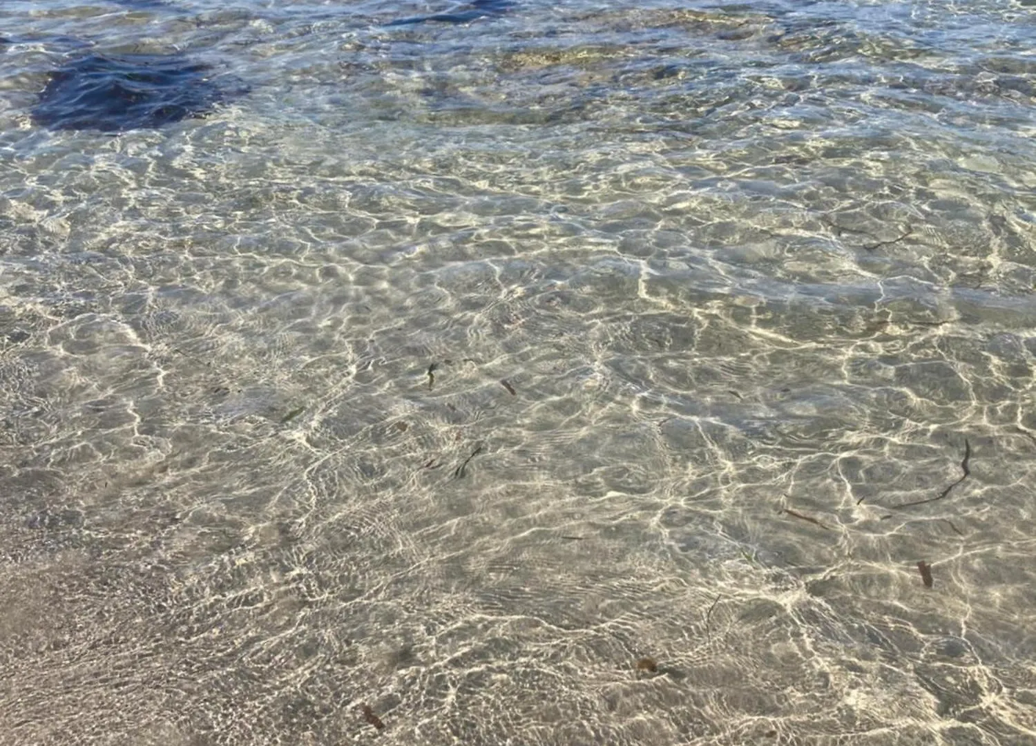 מרסאלה Posidonia Apartments